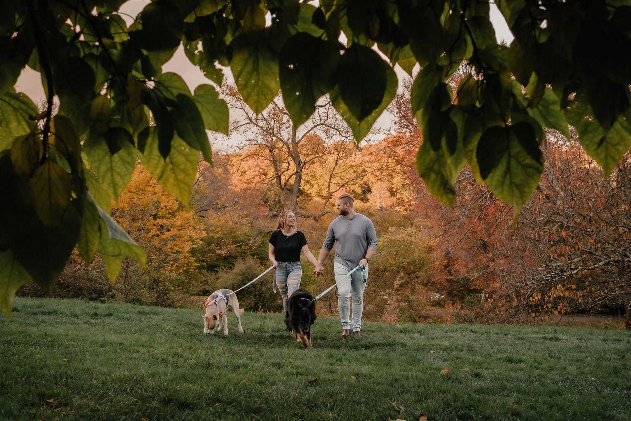 The Enchanting Colors of New England's Golden Hour: A Journey Through Nature and Emotions