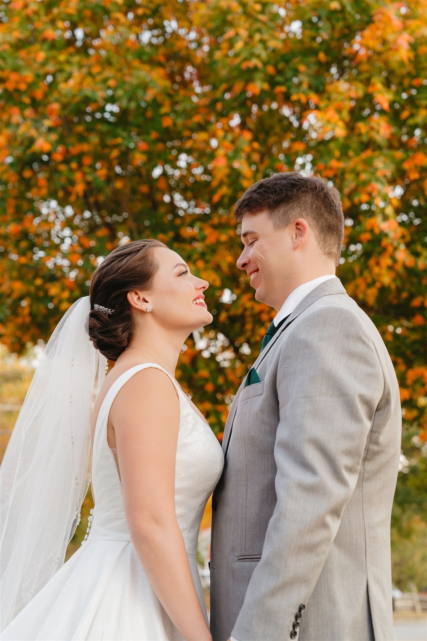 carousel-hero-element image-0