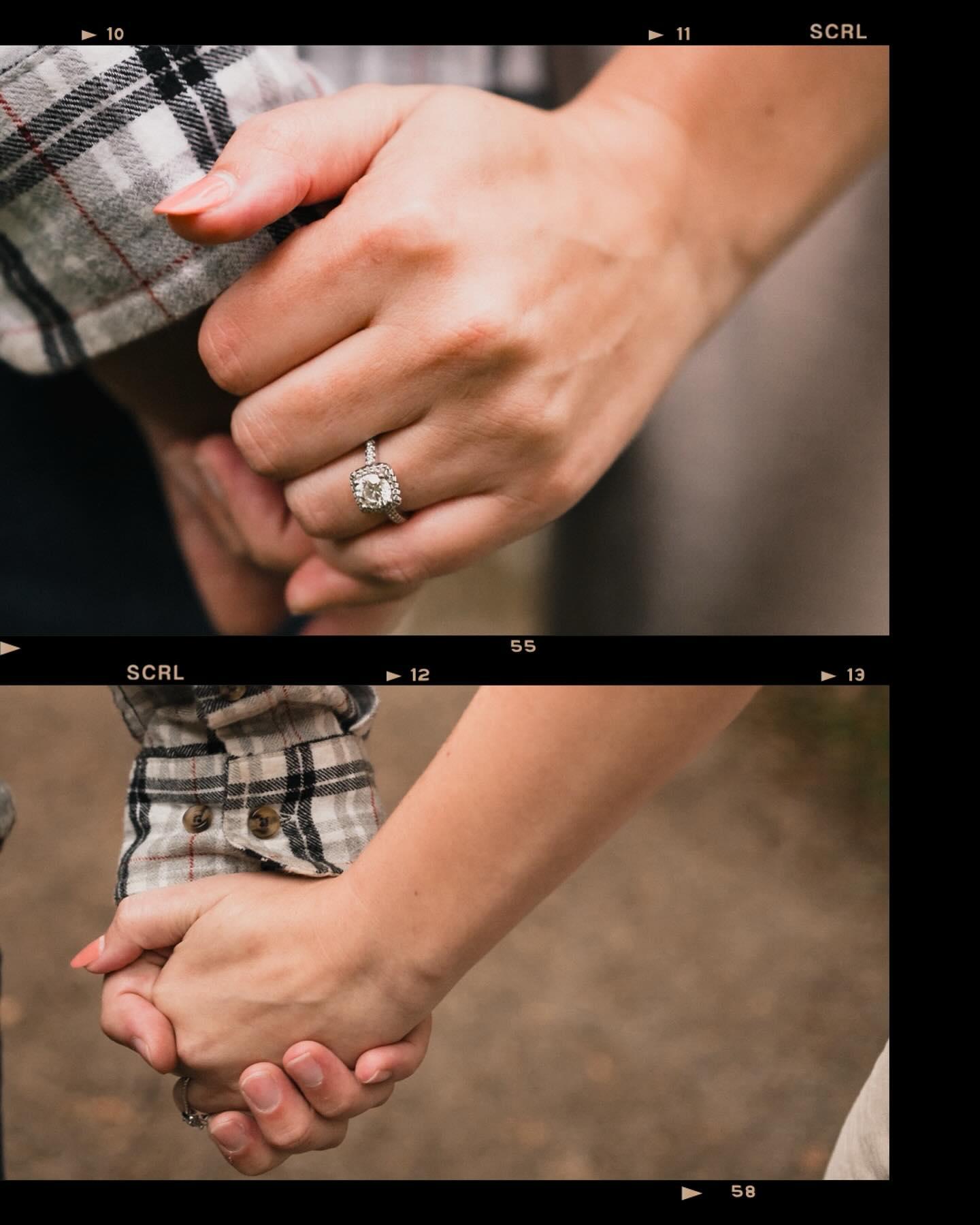 Love and Nature: A Tale from The Arnold Arboretum